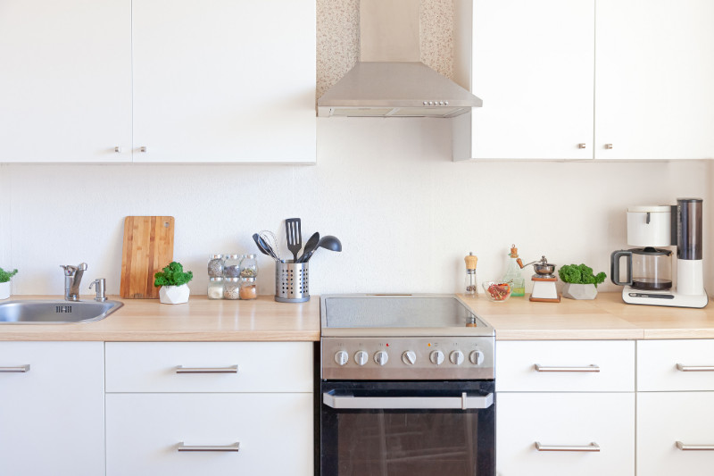 Scandinavian classic minimalistic kitchen