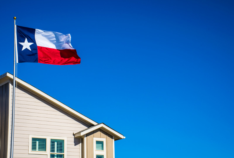 Texas State Flag